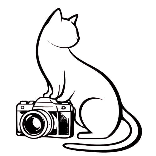 Birsendeyiz Logo